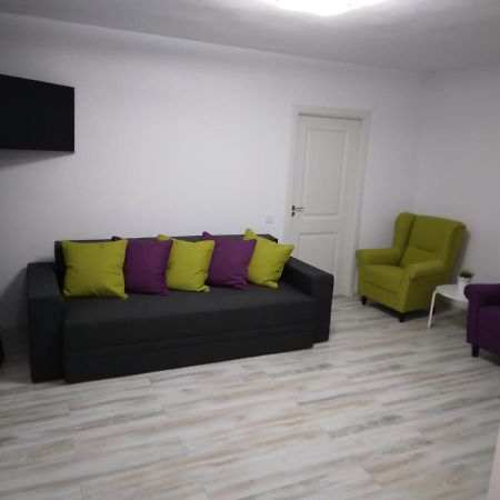 Luxury Apartament Curtea de Argeş المظهر الخارجي الصورة