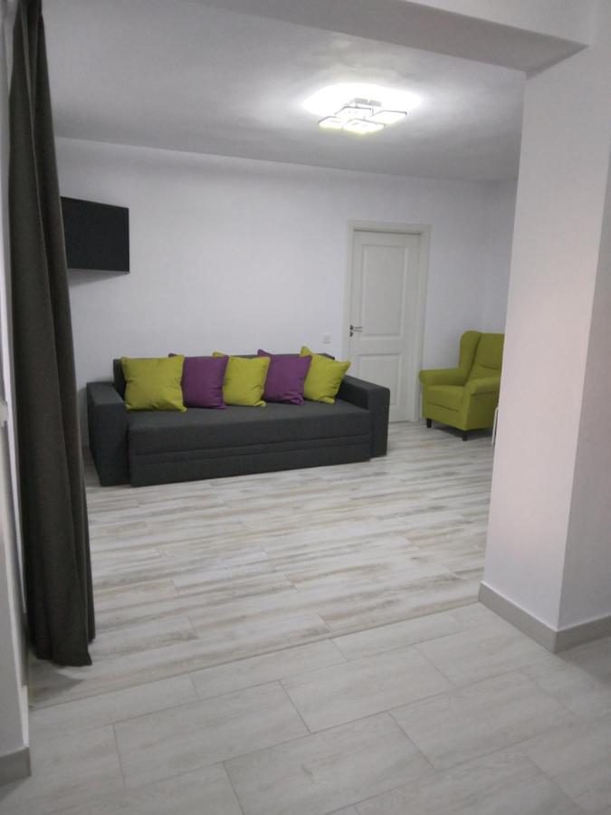 Luxury Apartament Curtea de Argeş المظهر الخارجي الصورة