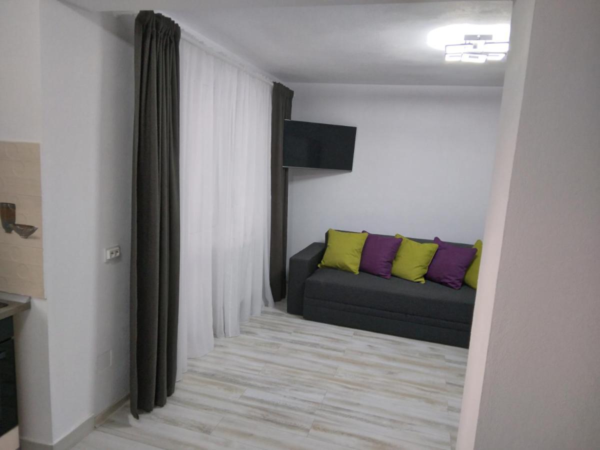 Luxury Apartament Curtea de Argeş المظهر الخارجي الصورة
