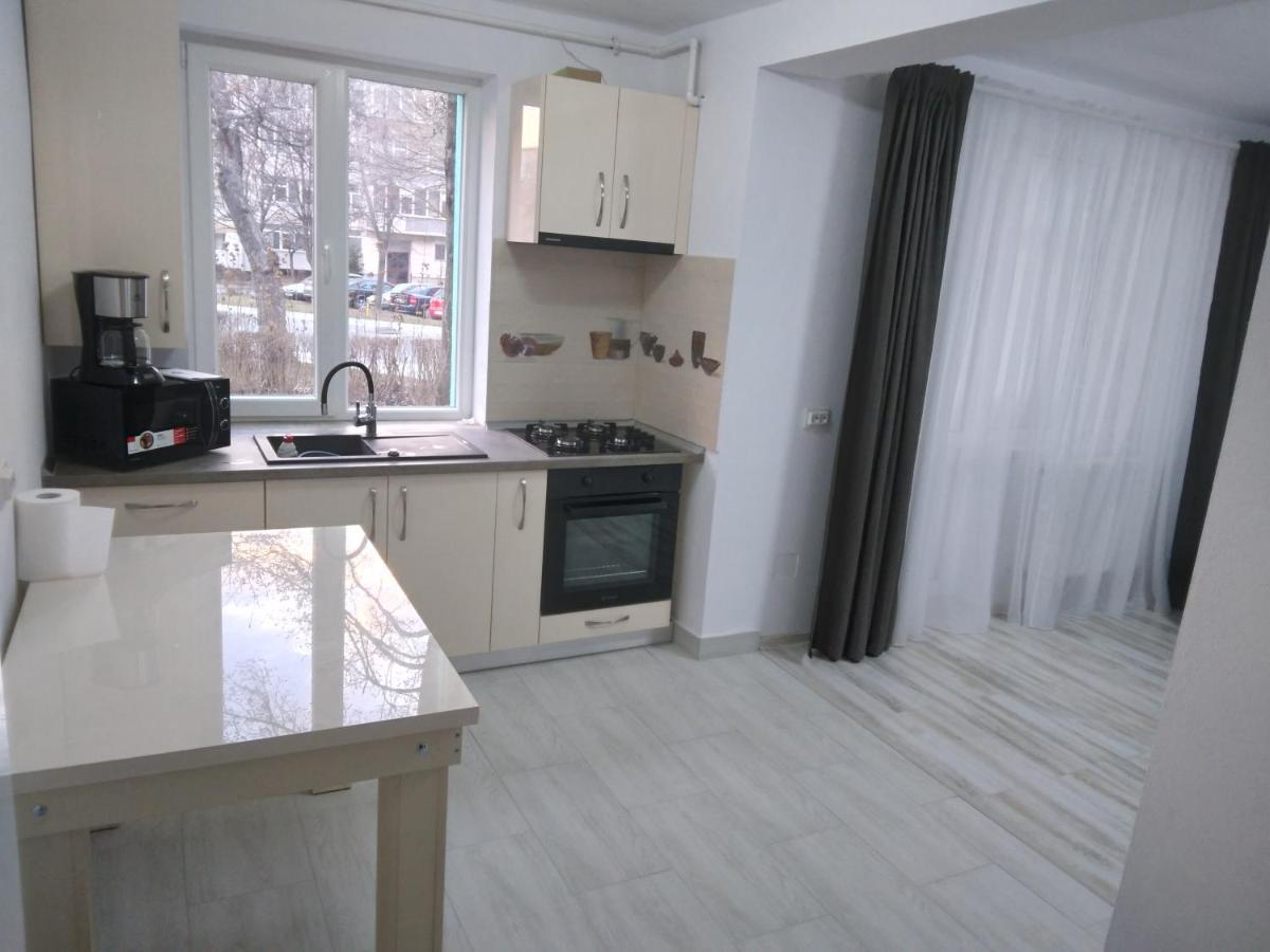 Luxury Apartament Curtea de Argeş المظهر الخارجي الصورة
