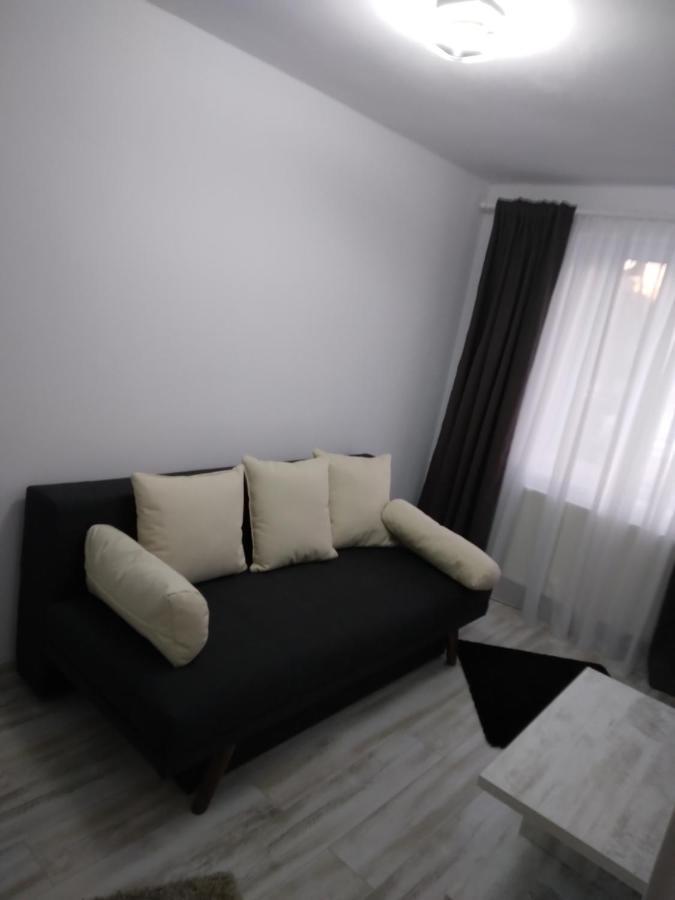 Luxury Apartament Curtea de Argeş المظهر الخارجي الصورة