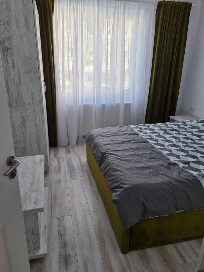 Luxury Apartament Curtea de Argeş المظهر الخارجي الصورة